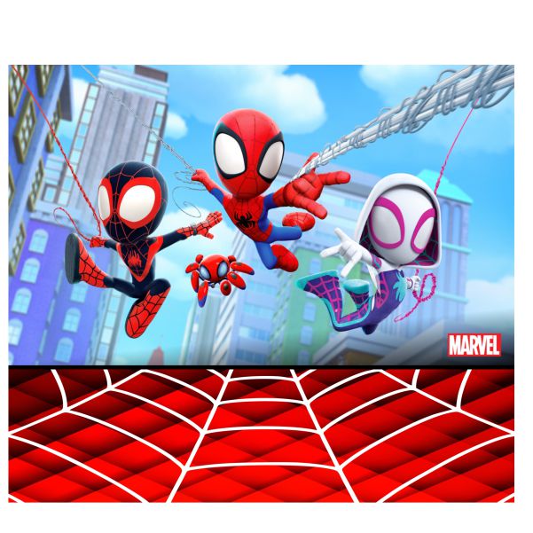 Painel 2.50 x 3.0 Homem Aranha Novo