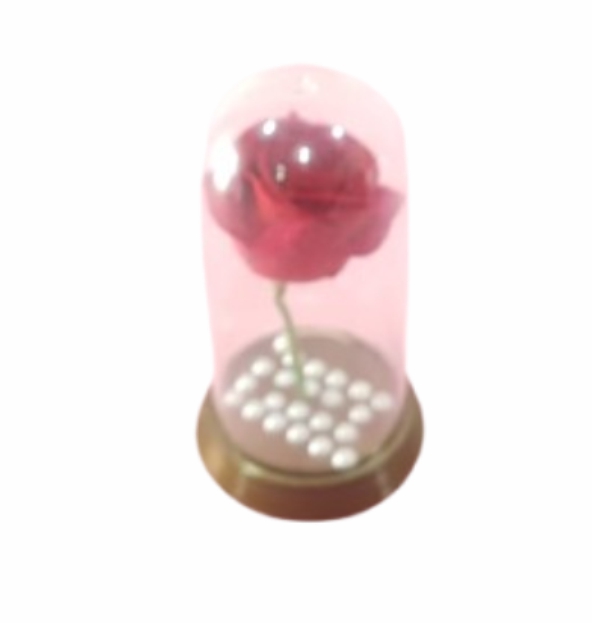 Redoma com Rosa Vermelha P
